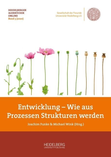 Entwicklung - Wie aus Prozessen Strukturen werden (Paperback)