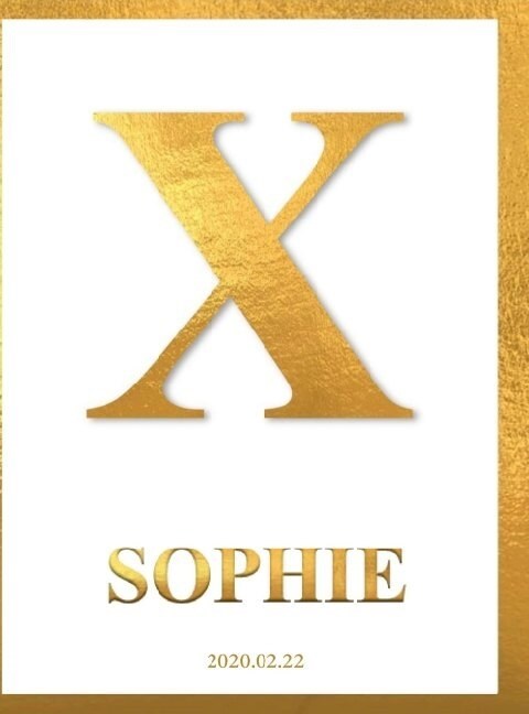 X - Sophie (Hardcover)