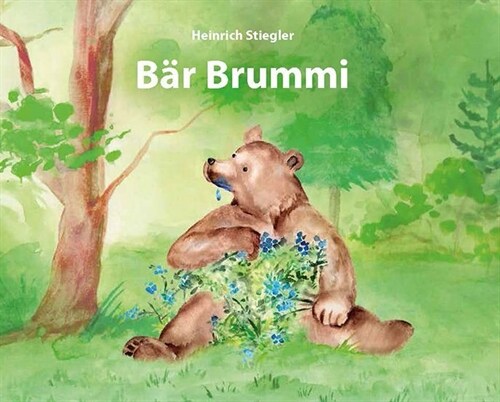 Bar Brummi (Hardcover)