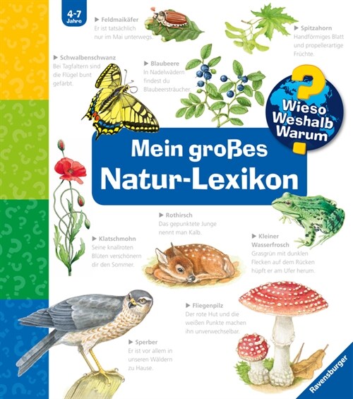 Mein großes Natur-Lexikon (Paperback)