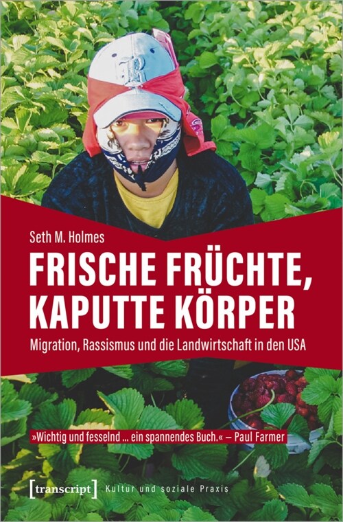 Frische Fruchte, kaputte Korper (Paperback)