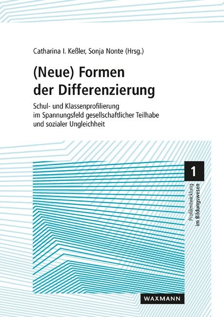 (Neue) Formen der Differenzierung (Paperback)