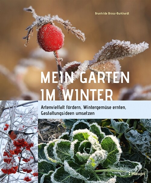 Mein Garten im Winter (Hardcover)