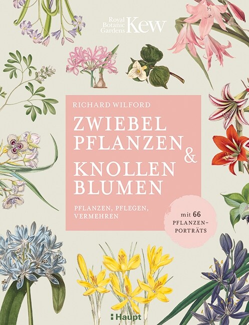 Zwiebelpflanzen & Knollenblumen (Hardcover)