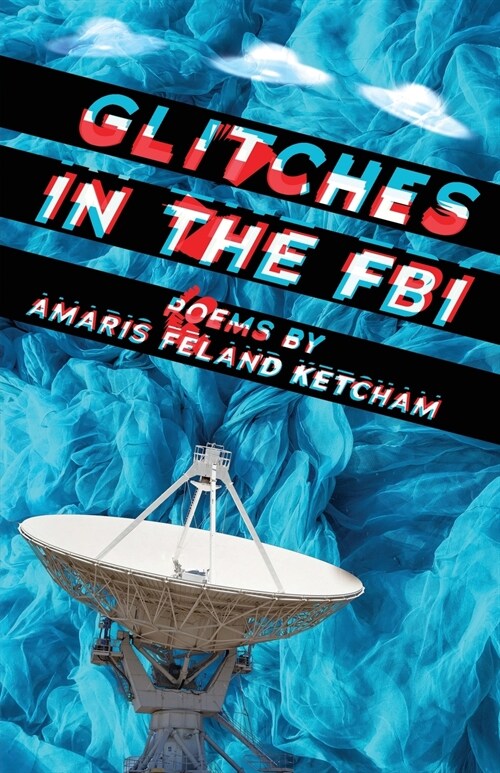 Glitches in the FBI (Paperback)