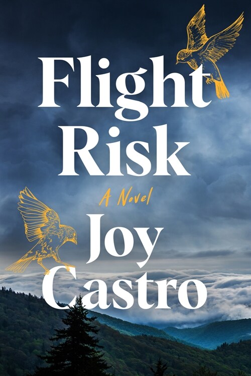 Flight Risk (Paperback)