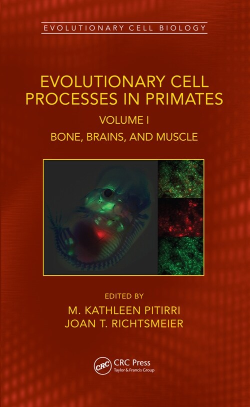 Evolutionary Cell Processes in Primates : Bone, Brains, and Muscle, Volume I (Hardcover)