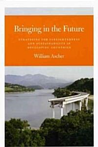 Bringing in the Future: Strategies for Farsightedness and Sustainability in Developing Countries (Paperback)