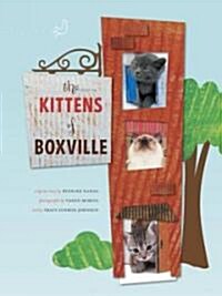 The Kittens of Boxville (Paperback, 1st)