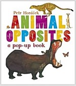 Animal Opposites (Hardcover)