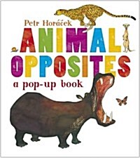 Animal Opposites (Hardcover)