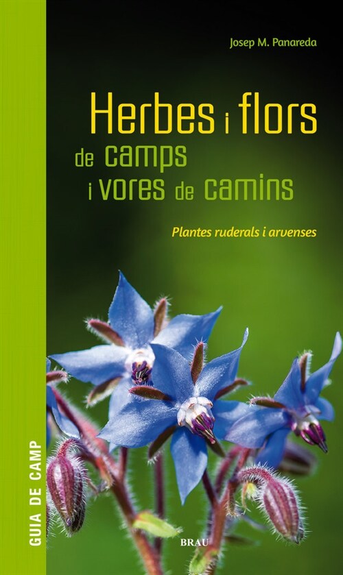 Herbes i flors de camps i vores de camins (Fold-out Book or Chart)