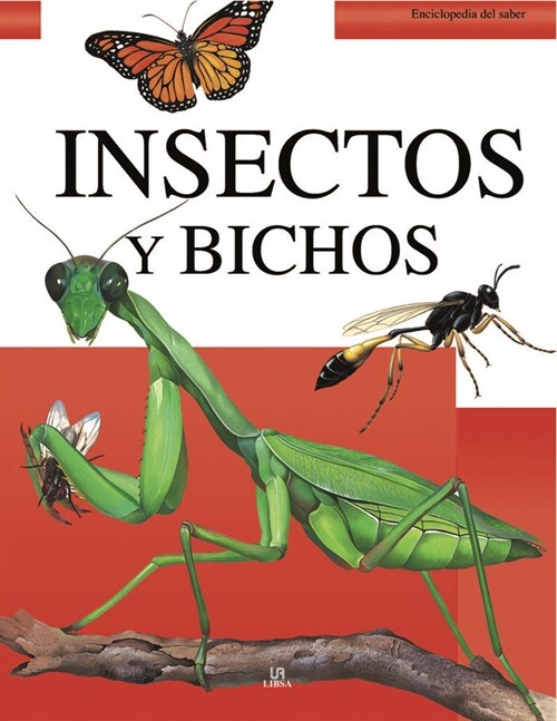 Insectos y Bichos