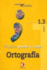 Aprende y practica, punto y coma, ortografia 1.3 (Fold-out Book or Chart)