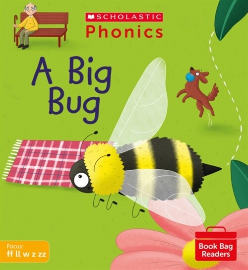 A Big Bug (Set 3) (Paperback)