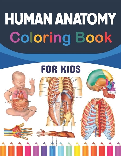 Human Anatomy Coloring Book For Kids: A Collection of Fun and Easy Human Anatomy Coloring Pages for Kids Toddlers and Preschool. Brain Heart Lung Live (Paperback)