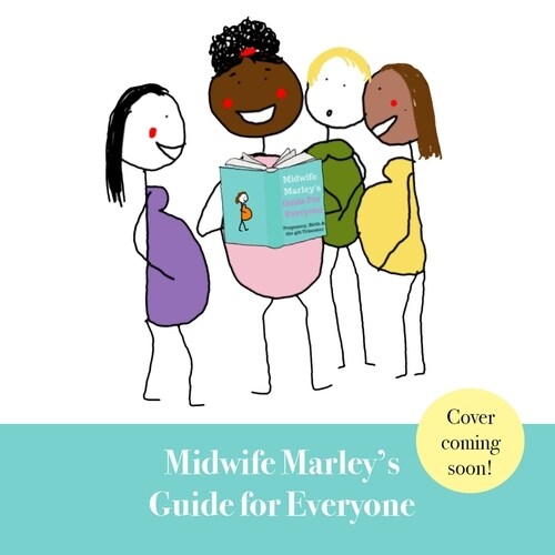 Midwife Marleys Guide For Everyone : Pregnancy, Birth and the 4th Trimester (Paperback)