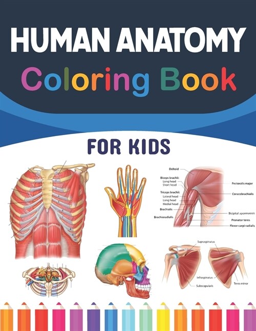 Human Anatomy Coloring Book For Kids: Learn The Human Anatomy With Fun & Easy. Simple Human Body Parts Coloring Book For Children. Brain Heart Lung Li (Paperback)