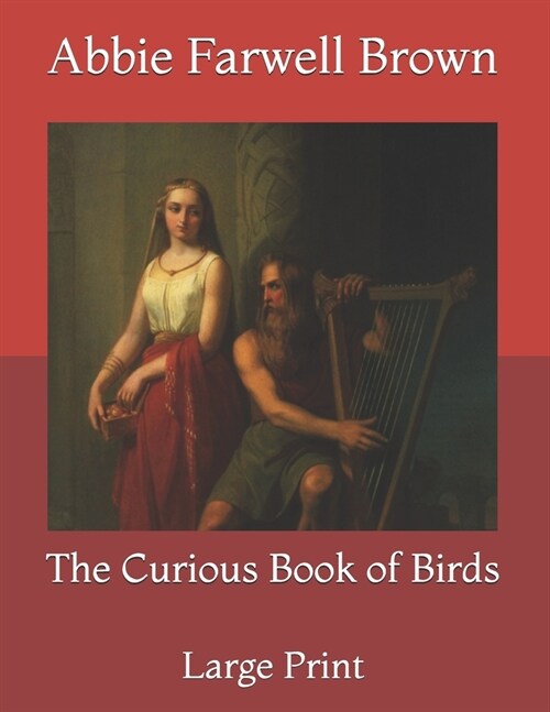 The Curious Book of Birds: Large Print (Paperback)