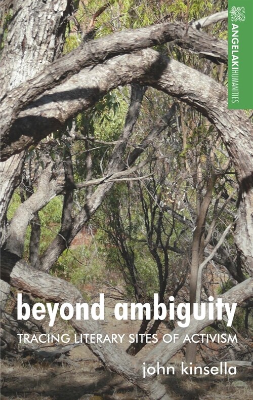 Beyond Ambiguity : Tracing Literary Sites of Activism (Hardcover)