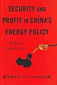 Security and Profit in Chinas Energy Policy: Hedging Against Risk (Hardcover)