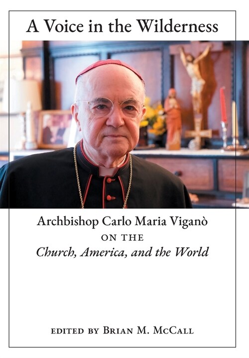 A Voice in the Wilderness: Archbishop Carlo Maria Vigan?on the Church, America, and the World (Hardcover)