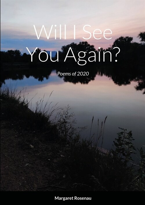 Will I See You Again? (Paperback)