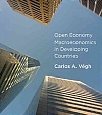Open Economy Macroeconomics in Developing Countries (Hardcover)