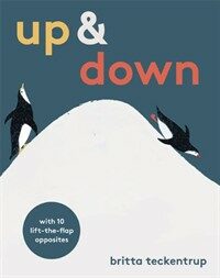 Up and Down (Hardcover)