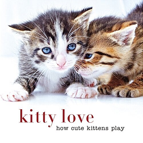Kitty Love: How Cute Kittens Play (Hardcover)