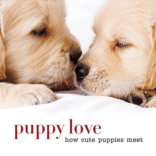 Puppy Love: How Cute Puppies Meet (Hardcover)