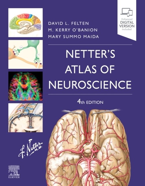 Netters Atlas of Neuroscience (Paperback, 4)