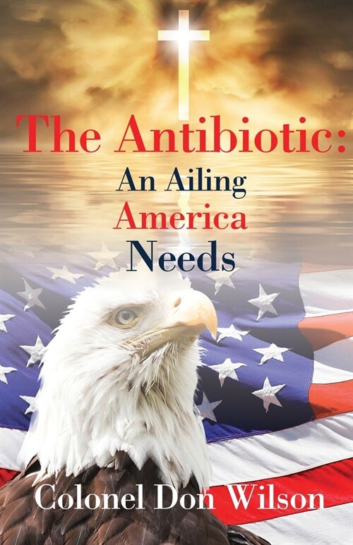 The Antibiotic an Ailing America Needs (Paperback)