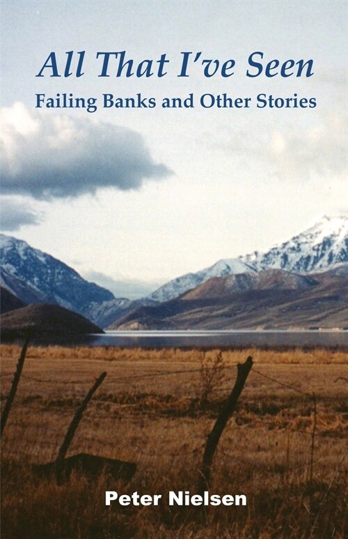 All That Ive Seen: Failing Banks and Other Stories (Paperback)