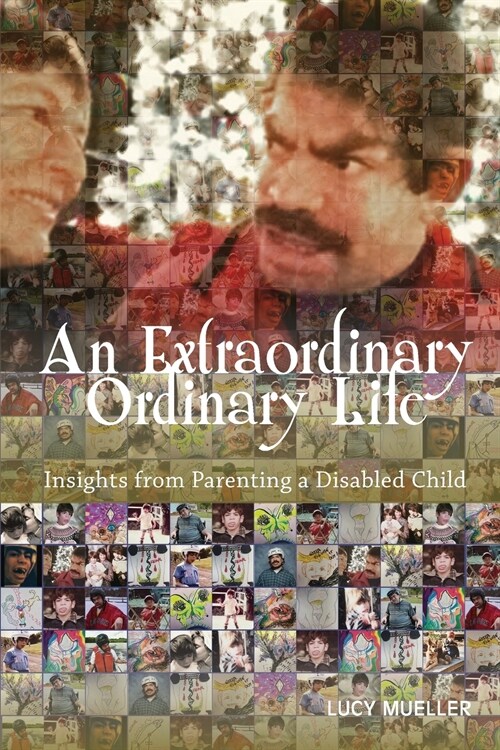 An Extraordinary/Ordinary Life (Paperback)