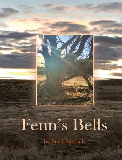 Fenns Bells (Hardcover)