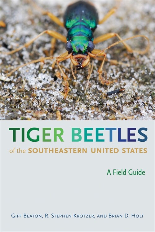 Tiger Beetles of the Southeastern United States: A Field Guide (Paperback)