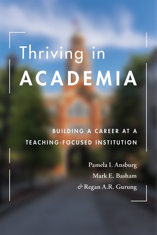 Thriving in Academia: Building a Career at a Teaching-Focused Institution (Paperback)