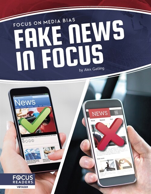 Fake News in Focus (Paperback)