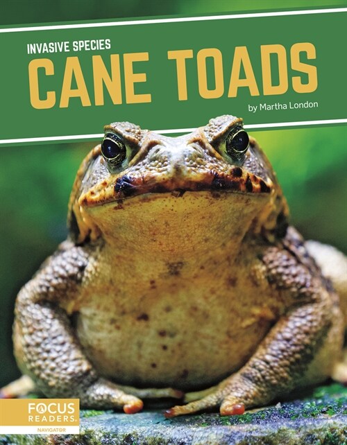 Cane Toads (Library Binding)