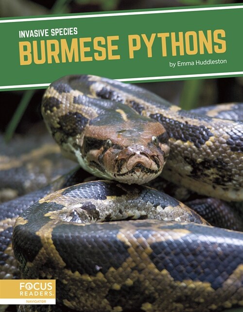 Burmese Pythons (Library Binding)