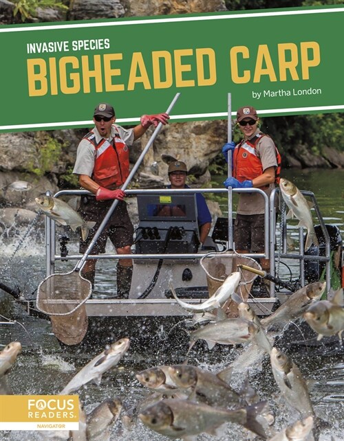 Bigheaded Carp (Paperback)
