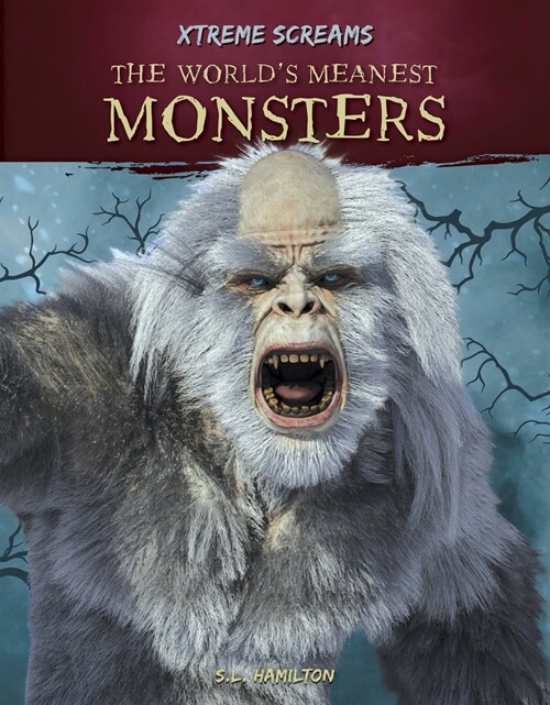 The Worlds Meanest Monsters (Paperback)