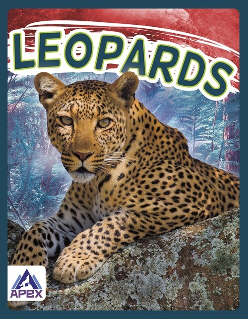 Leopards (Paperback)