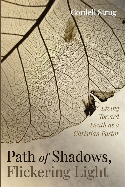 Path of Shadows, Flickering Light (Paperback)