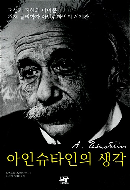 아인슈타인의 생각
