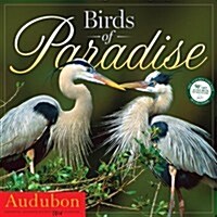 Audubon Birds of Paradise NEW! 2014 (Paperback)