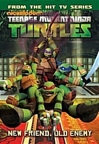 Teenage Mutant Ninja Turtles Animated Volume 2: Never Say Xever / The Gauntlet (Paperback)