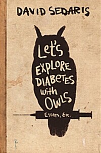 LetS Explore Diabetes With Owls (Paperback)