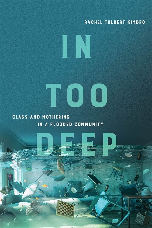 In Too Deep: Class and Mothering in a Flooded Community (Paperback)